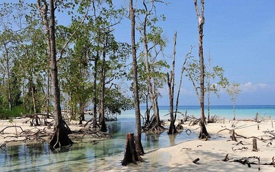 Andaman tour package